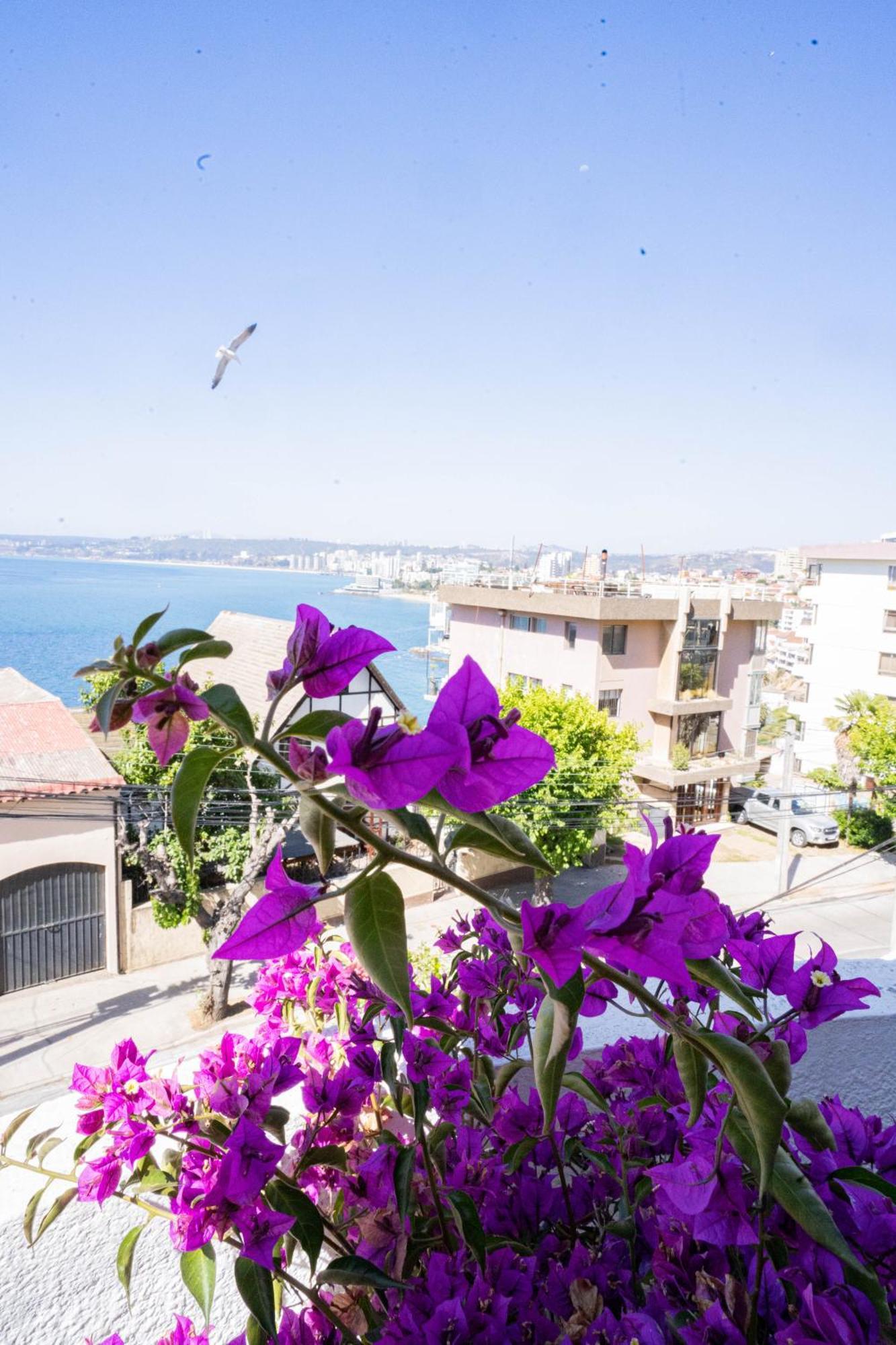 Hotel Vista Velero Винья-дель-Мар Экстерьер фото
